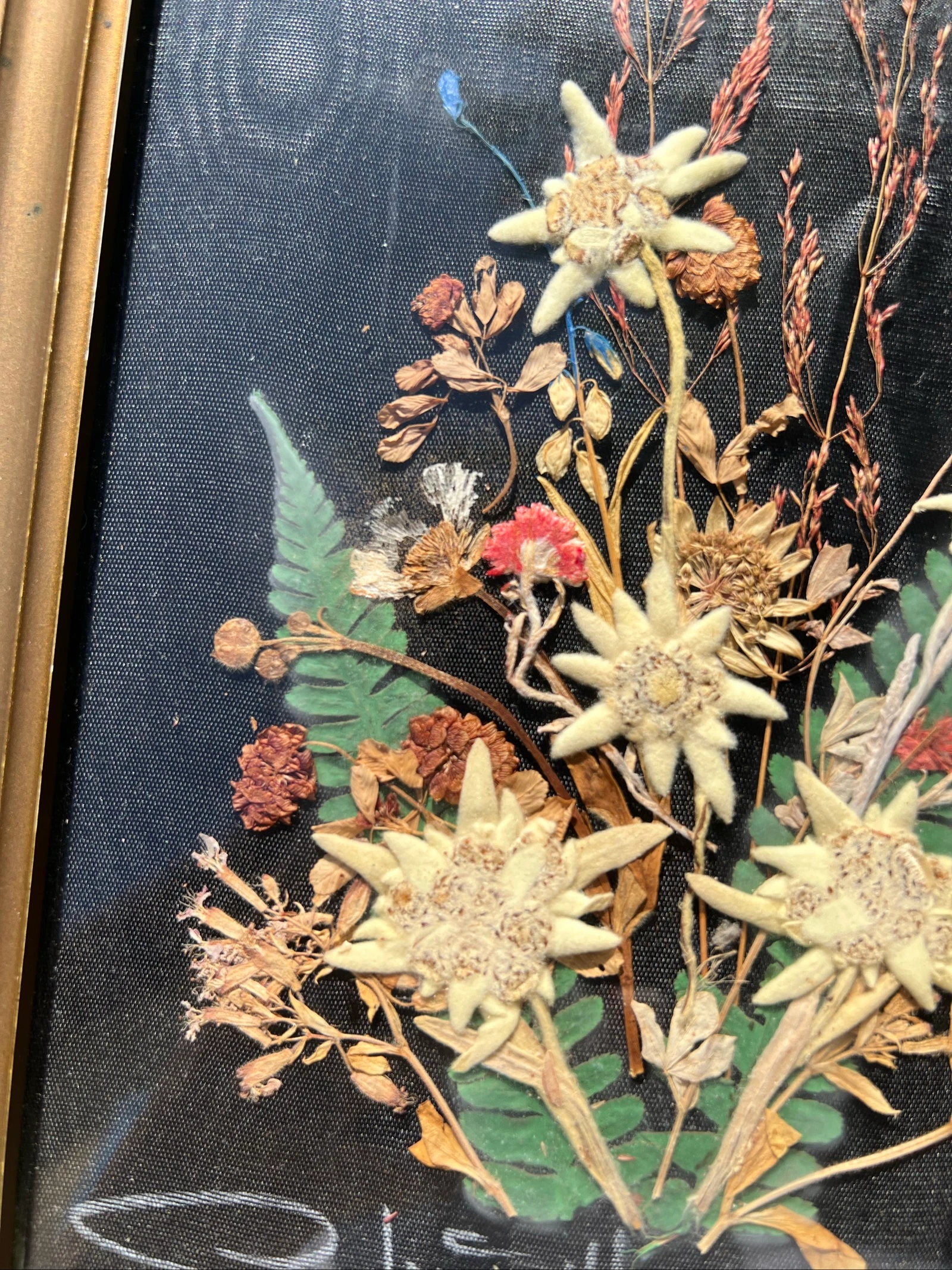 💮 Vintage frame gedroogde bloemen Edelweiss gesigneerd – Wanddecoratie 32 x 19 cm – photo 4